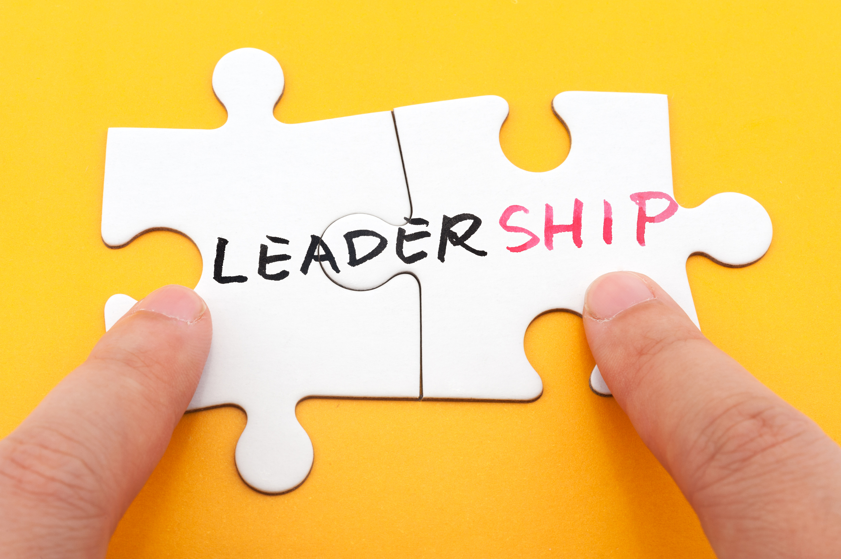 Counseling e Leadership