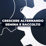 Crescita personale